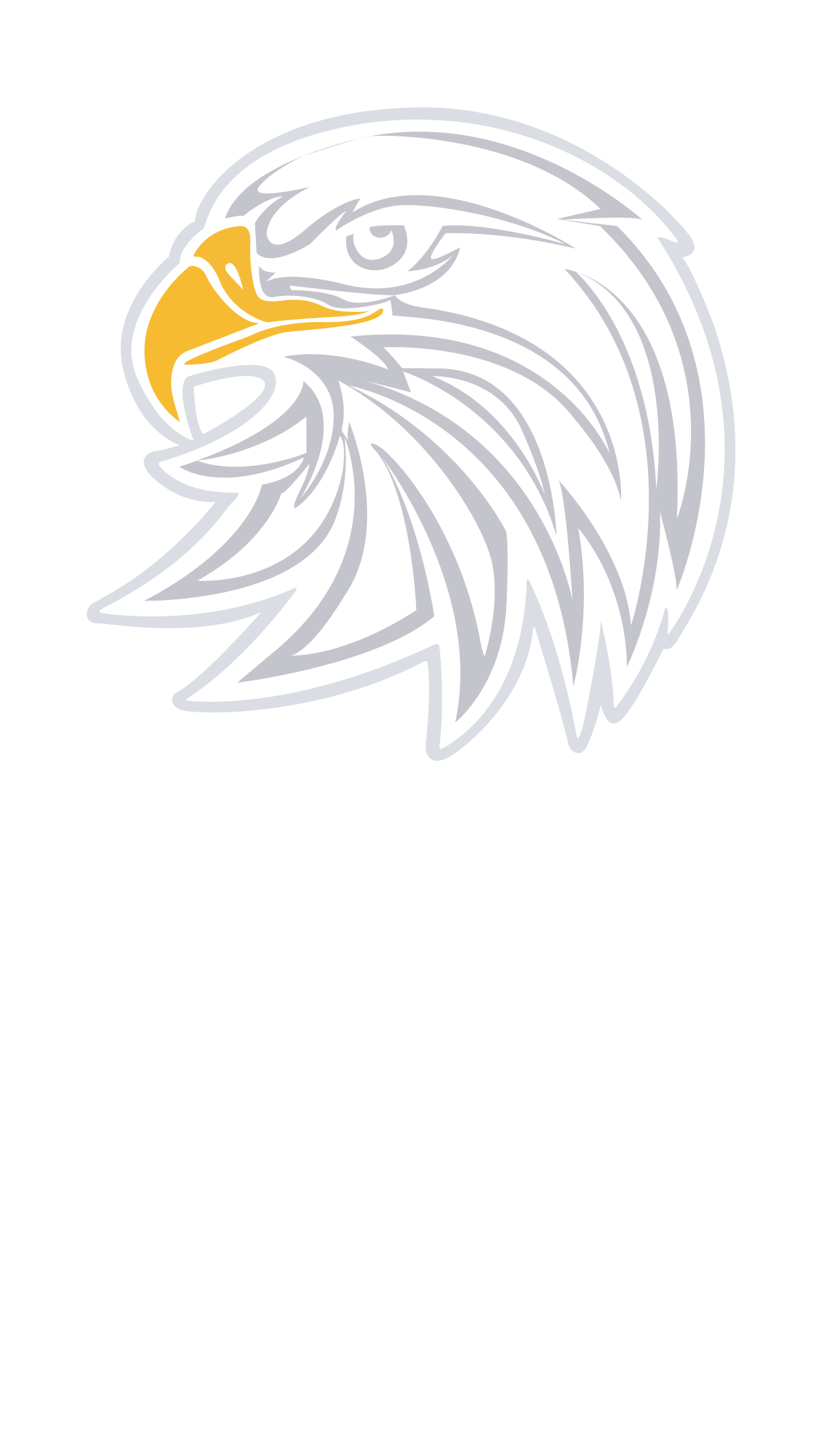 Security CSS